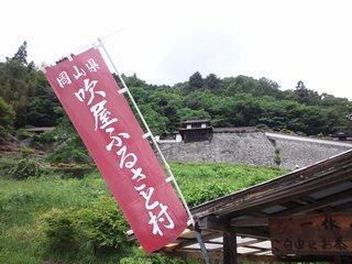 DSC_1095.JPG