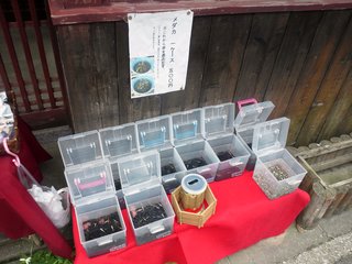 DSC_1108.JPG