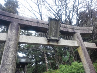 DSC_2356.JPG