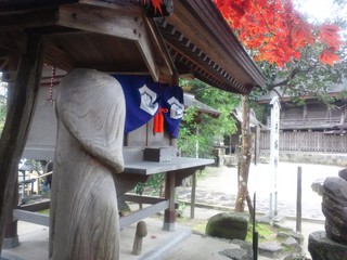 DSC_2383.JPG