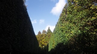 DSC_2545.JPG