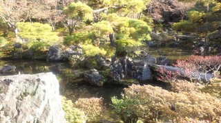 DSC_2553.JPG