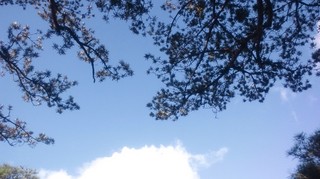 DSC_2556.JPG
