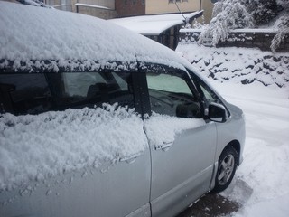 DSC_3126.JPG