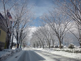 DSC_3128.JPG