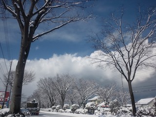 DSC_3129.JPG