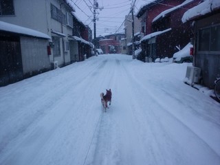 DSC_3142.JPG
