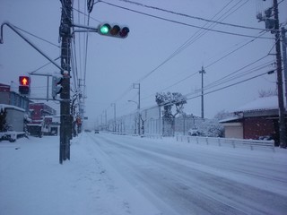 DSC_3144.JPG