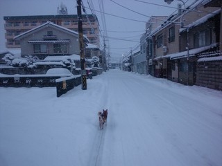 DSC_3145.JPG