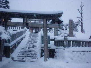 DSC_3148.JPG