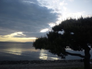DSC_3838.JPG