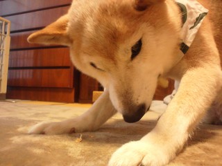 DSC_3854.JPG