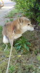 F1000206.jpg