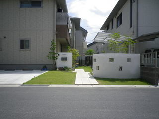 IMGP0893.JPG
