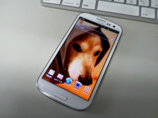 IMG_20120720_105424.jpg